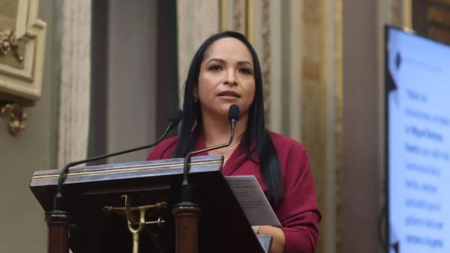 Lizeth Sánchez García, secretaria de Bienestar, se destapa para la gubernatura de Puebla